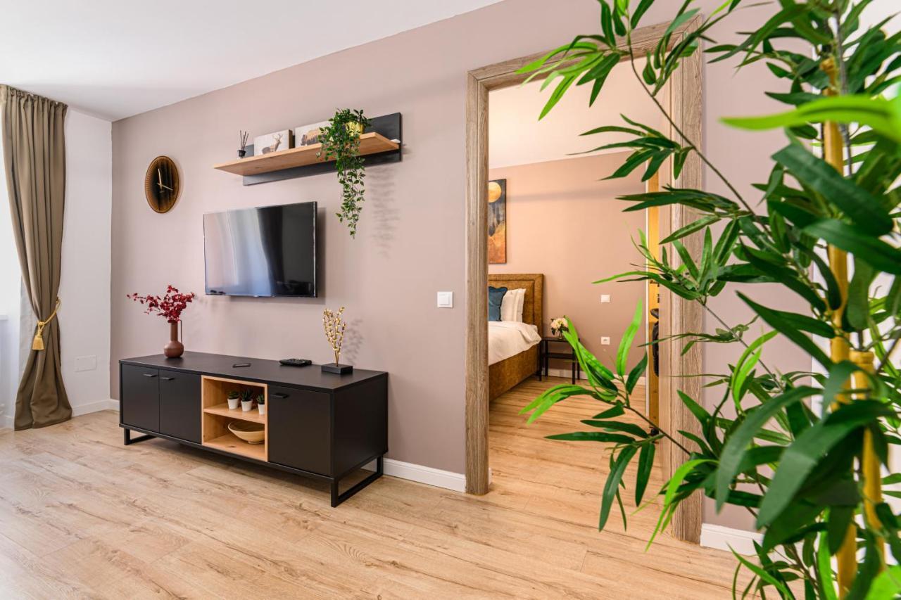 Schei Gate Apartment Braşov Buitenkant foto