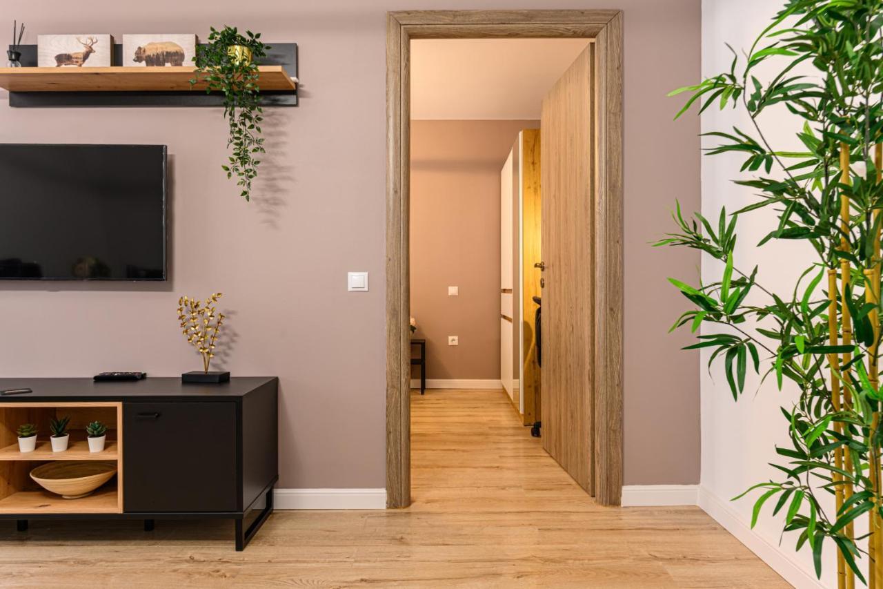Schei Gate Apartment Braşov Buitenkant foto